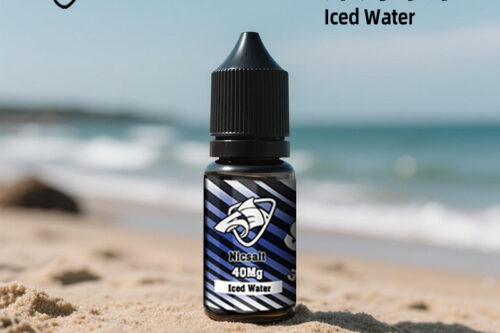 鯊克SALT SHAQ深海冰泉口味煙油｜專業級丁鹽煙油推薦